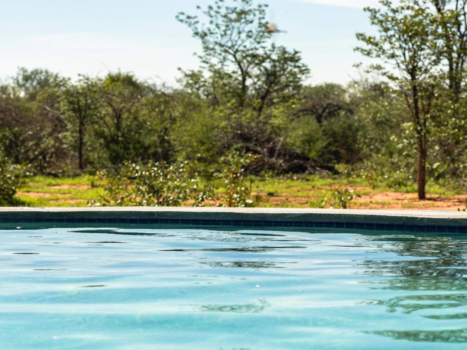 Hotel Kifaru Bush Camp Outjo Exterior foto